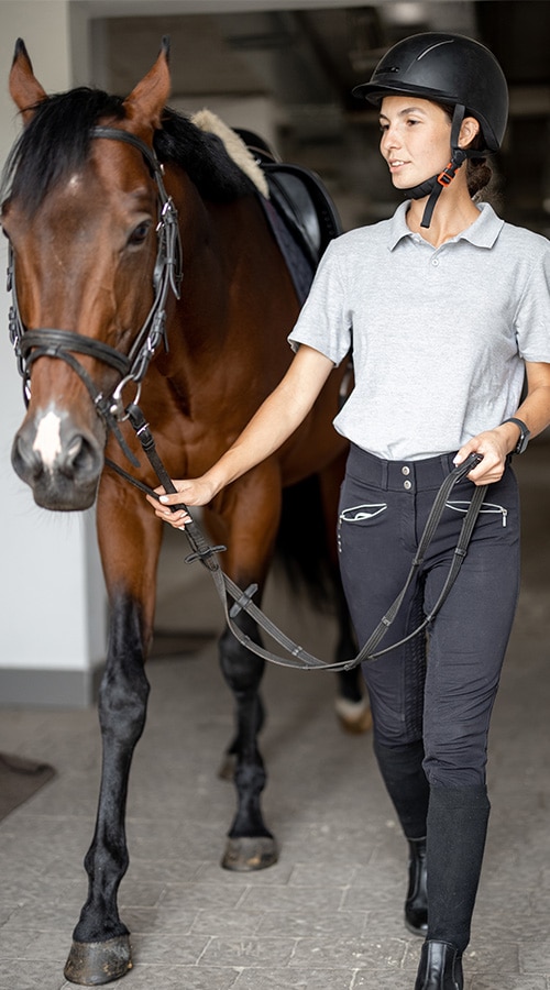 horseman-going-with-thoroughbred-horse-near-stable-2021-11-11-19-05-44-gaweaes-jpg