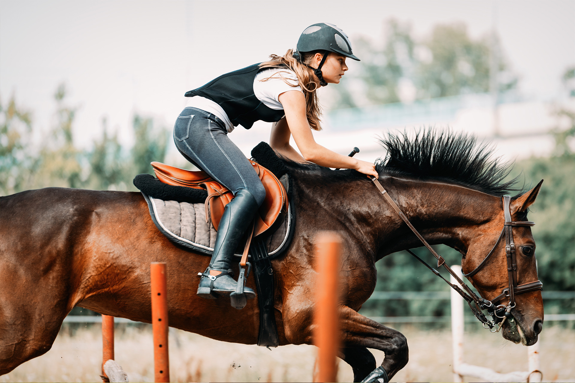 picture-of-young-pretty-girl-riding-horse-2021-08-26-17-33-13-453vpkg-jpg