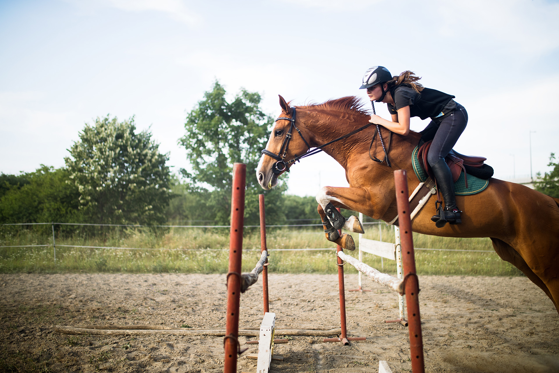 jovem-jockey-no-cavalo-saltando-sobre-obstáculo-2021-08-26-17-31-50-xjr6czt-jpg-2