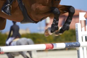 Exploring the World of Show Jumping: Events, Competitions and Championships